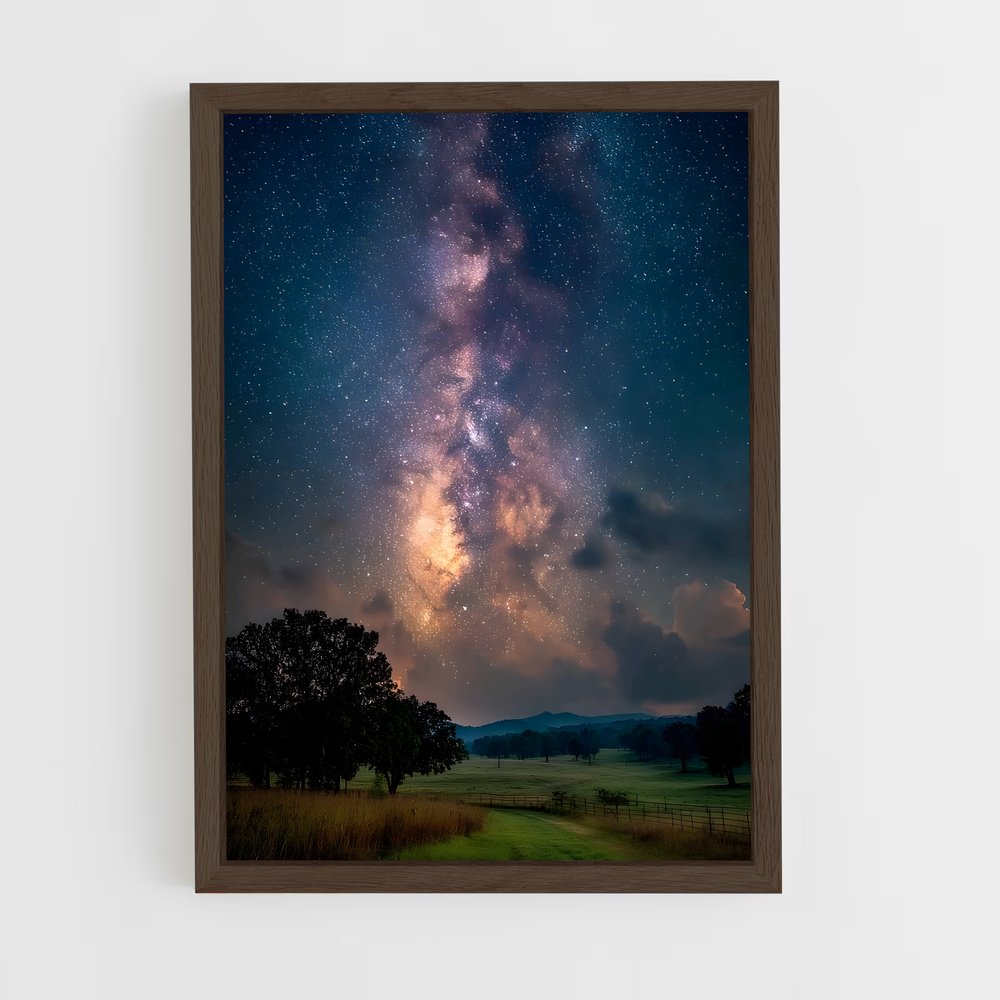 Poster Étoiles de Texas (vue 5)